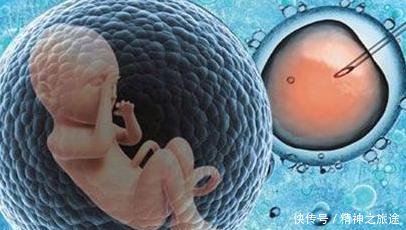试管婴儿囊胚移植和普通胚胎移植有什么区别