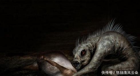 十大世界诡异生物,十大世界诡异生物排名