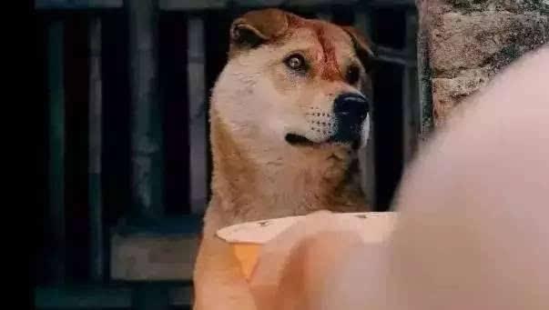 t01c42a5675e755d986.jpg?size=603x341