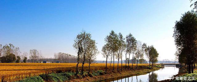 远嫁后每次回娘家,母亲都会给我一袋黄豆,三年后全部打开我傻了