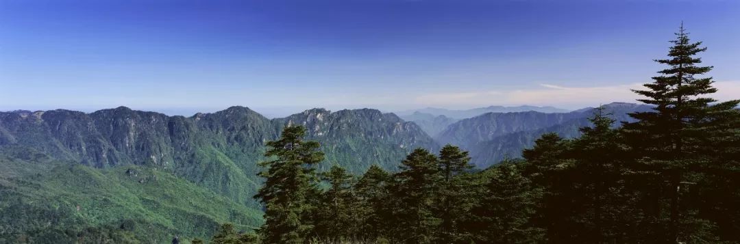 湖北又拿下一个世界级称号!这个地方再也藏不住了!