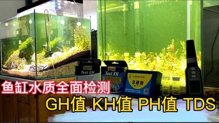 鹽城觀賞魚市場(chǎng) 水族問(wèn)答 第2張