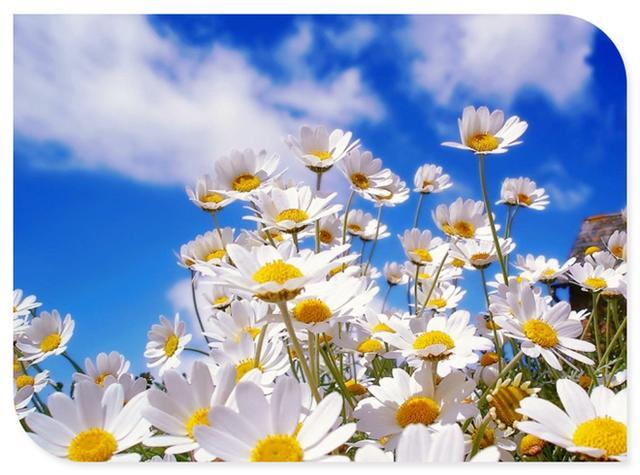 读书不觉已春深,一寸光阴一寸金,多读点书吧