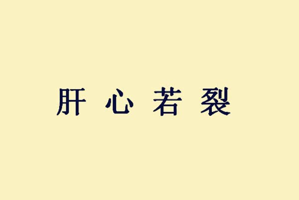 诏书什么成语_成语故事图片(2)