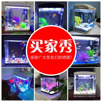 金華觀賞魚養(yǎng)殖基地電話多少?。ń鹑A觀賞魚養(yǎng)殖基地電話多少?。? title=