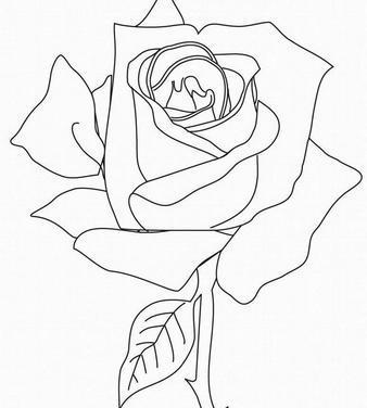 谁能用黑笔画个玫瑰,带花枝的,来图,我要画校服