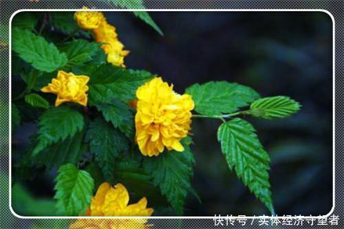 资产负债表债务法