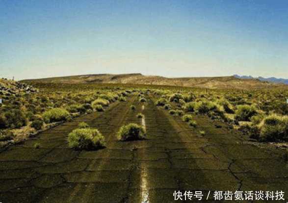 人类最后的结局, 也是灭绝, 这是所有生物必经阶段!!