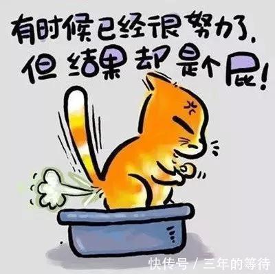 人生歪理,歪的很有道理！非常有才,值得一看!