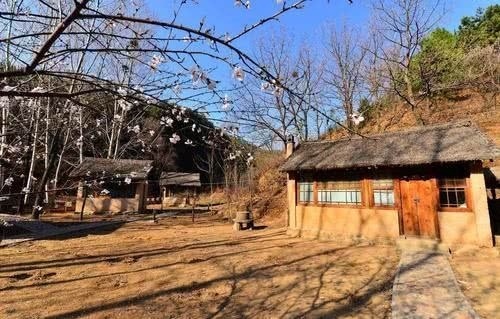 二级残疾证最新政策