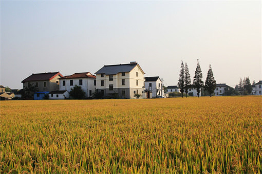 北京市老房改造政策文件(北京市老房改造政策文件涵盖了危旧楼房改建、老旧小区改造等多方面) 钢结构玻璃栈道施工 第2张 北京市老房改造政策文件(北京市老房改造政策文件涵盖了危旧楼房改建、老旧小区改造等多方面) 钢结构玻璃栈道施工 第2张