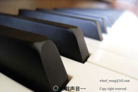 怎么弄手机键盘弹钢琴 t01ce37b1b1d8e7a225.jpg