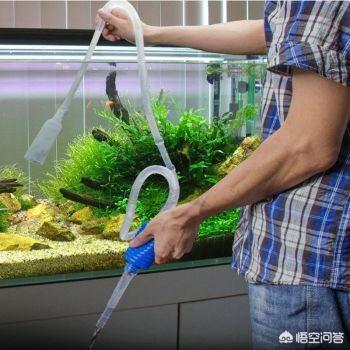 淄博南定觀賞魚批發(fā)市場（淄博南定觀賞魚批發(fā)市場還營業(yè)嗎）