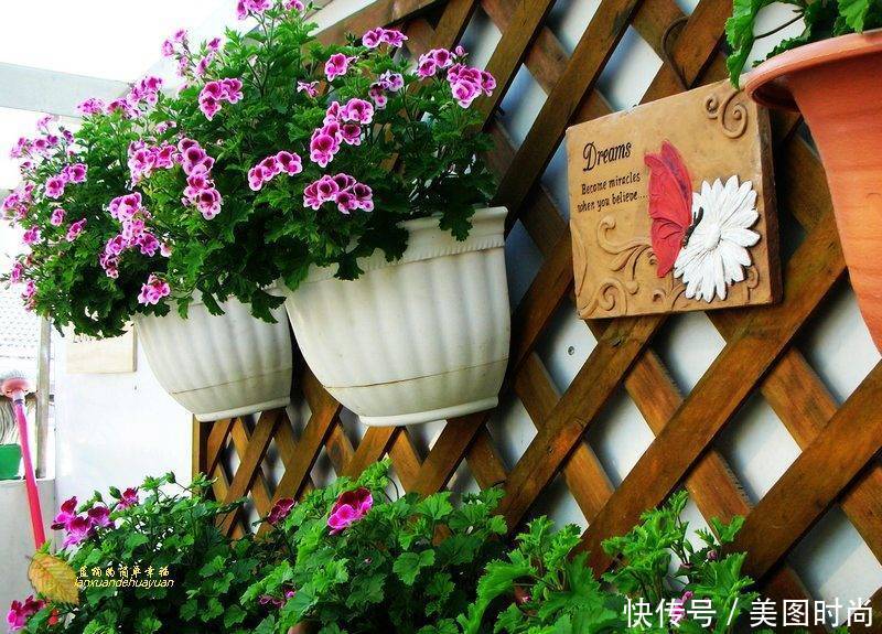 有个“露台花园”折腾,真好!此景此情,喝茶,看书 太惬意啦!