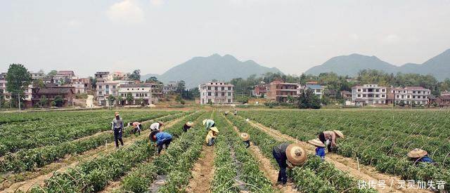 宅基地继承户籍人口城镇化_农村宅基地图片(2)