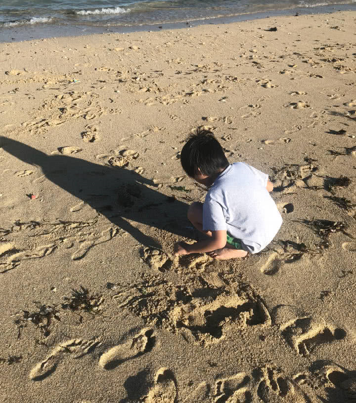 林志颖带儿子去海边捡垃圾,网友却被kimi身上