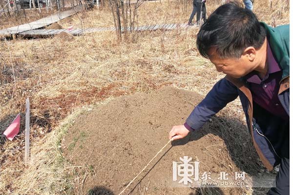 【早春走龙江】赴金山屯来一场原生态养生之旅