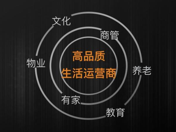 最年轻的中国房企50强，你猜它几岁?