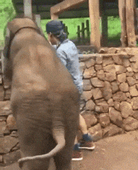 搞笑gif:说好的我女朋友呢?让你皮