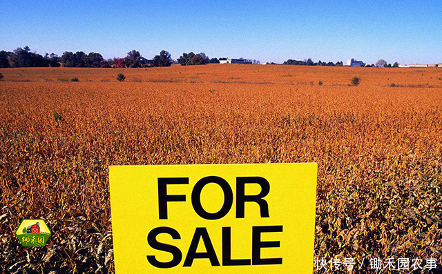 中美贸易摩擦，农产品行业开始震动，影响最大的是这几类！