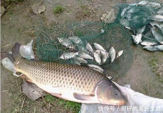 三个小经验,夏季钓鱼需要掌握哪些细节,看完爆