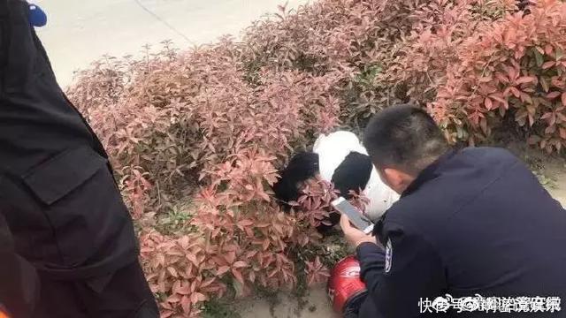 群众报警称在草丛中发现熊猫,民警兴冲冲出警