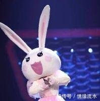 小了白了兔终于揭面,他就是流行金曲排行榜最