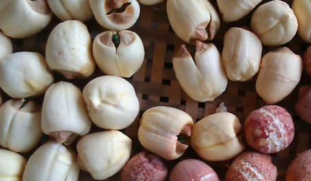 补肾食物排行榜 t01d4fa4d234aed751c.png?size=452x263