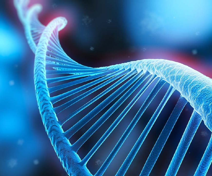 高云翔案四审将公布DNA检测结果,视频调查对