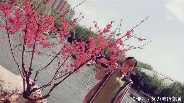 河南大三女生求职归途中救人被医院破格录取,