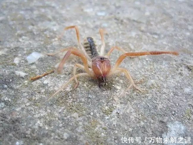 这个坑已经烧了超过40年，可能是一个地狱之门