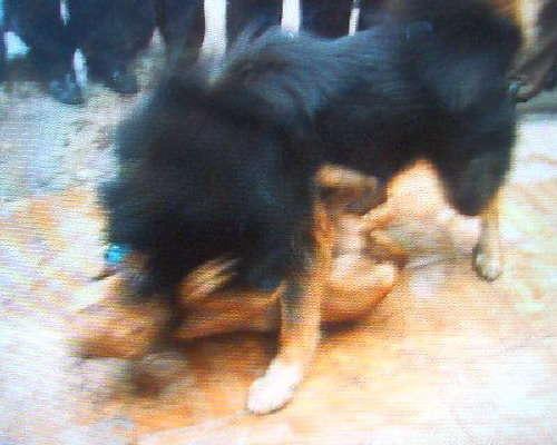 t01d8d0ebb188eb0fe7.jpg?size=500x400