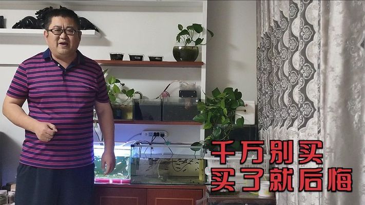 2米的鱼缸是多少升水（2米的鱼缸是多少升水啊）