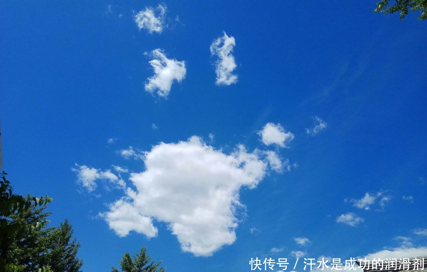 首都机场机场在哪里