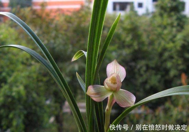 t01dabc3a81cc1e09c4.jpg