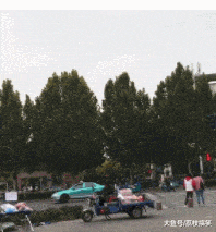 搞笑gif: 女司机所到之处, 必然是寸草不生