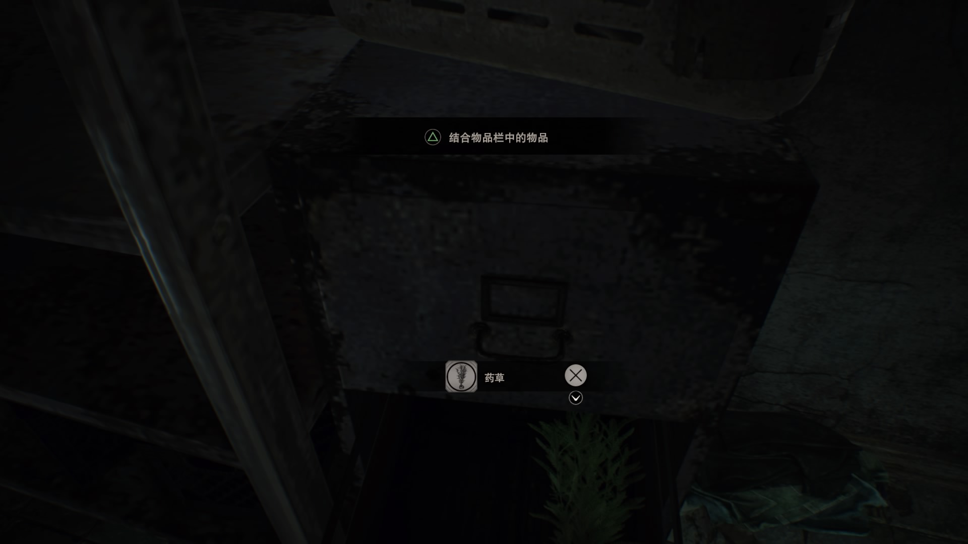 T113.png