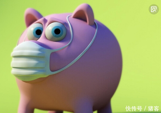 猪客网赵辉:猪得了流感,吃什么药好的快?