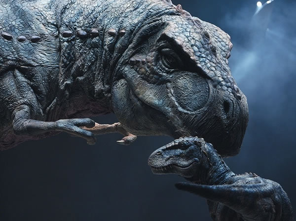 霸王龙_不能说的秘密 _经验分享网