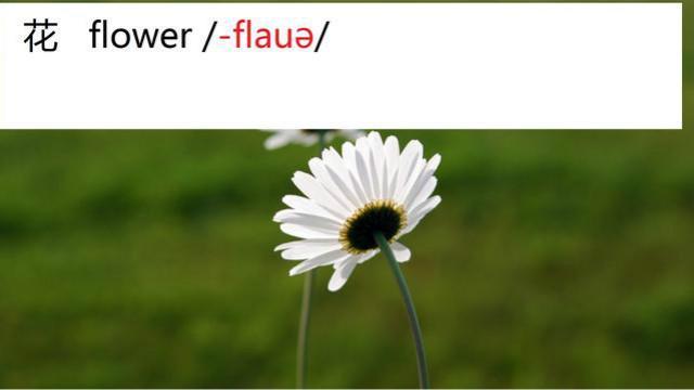 玩具英语:玩玩复仇者联盟玩具学学单词flower