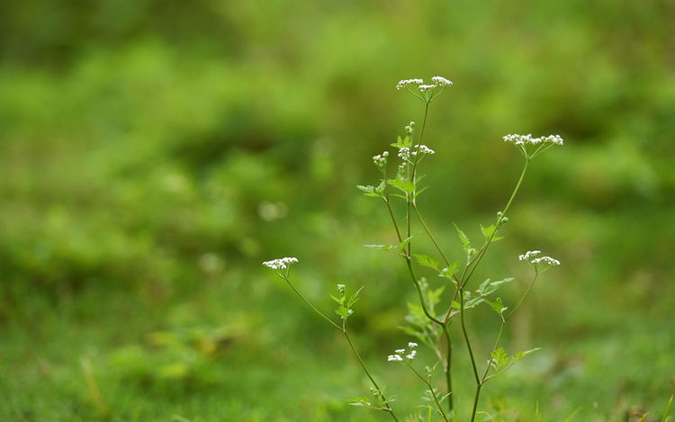 比算命还准!老年财运一鸣惊人,后半生横财如雨