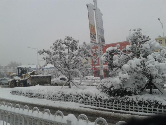 济宁2015年停课的那场雪有多大?到底下多大的