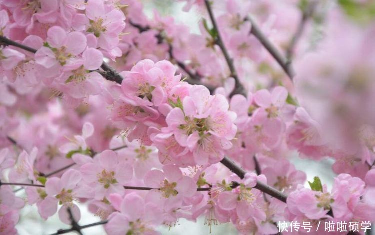 这三对生肖夫妻天生一对，婚后贵人不断，横财一日千里！