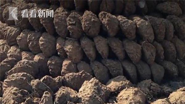 【转】北京时间 有味道”的网购 印度牛粪饼热销卖家一周收入过万 - 妙康居士 - 妙康居士~晴樵雪读的博客 【转】北京时间 有味道”的网购 印度牛粪饼热销卖家一周收入过万 - 妙康居士 - 妙康居士~晴樵雪读的博客