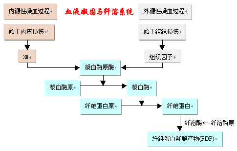 单核吞噬细胞系统