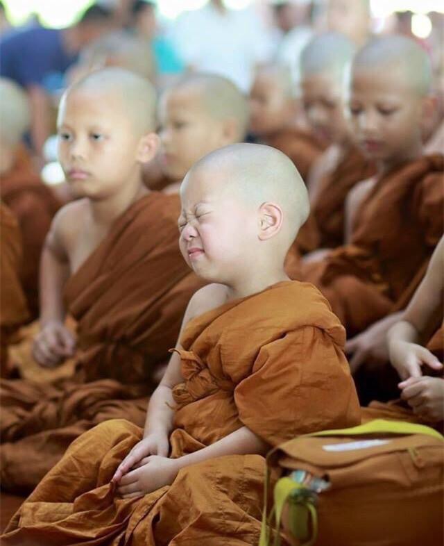 泰国两岁半小和尚狂打瞌睡萌倒所有人,不爱念