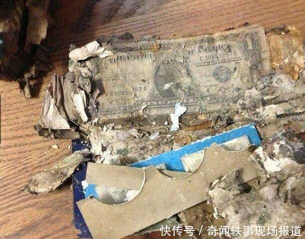 农村小房卧室一股腐烂恶臭味,男子掀开地垫,意