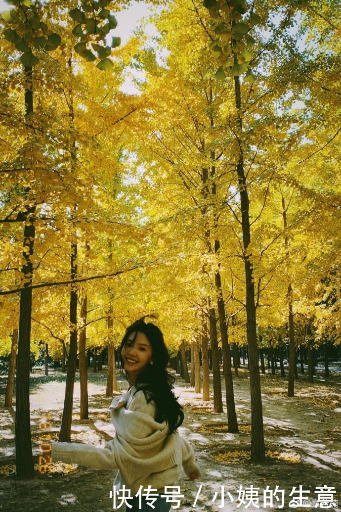 新晋女明星成为整容模板,微博被王思聪关注,她