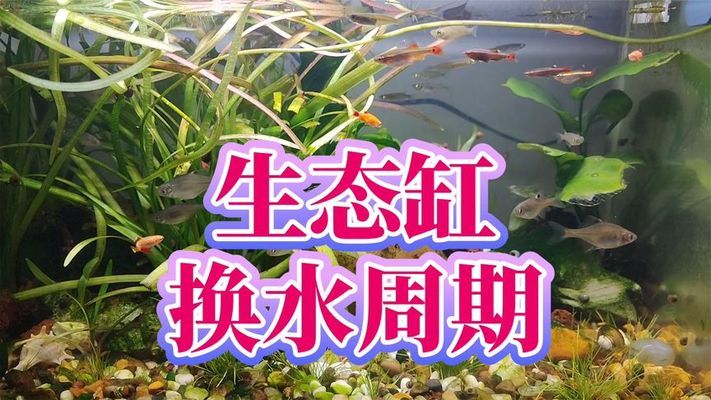 老魚(yú)匠加熱棒出現(xiàn)e3如何解決（老魚(yú)匠加熱棒顯示e3閃爍） 老魚(yú)匠