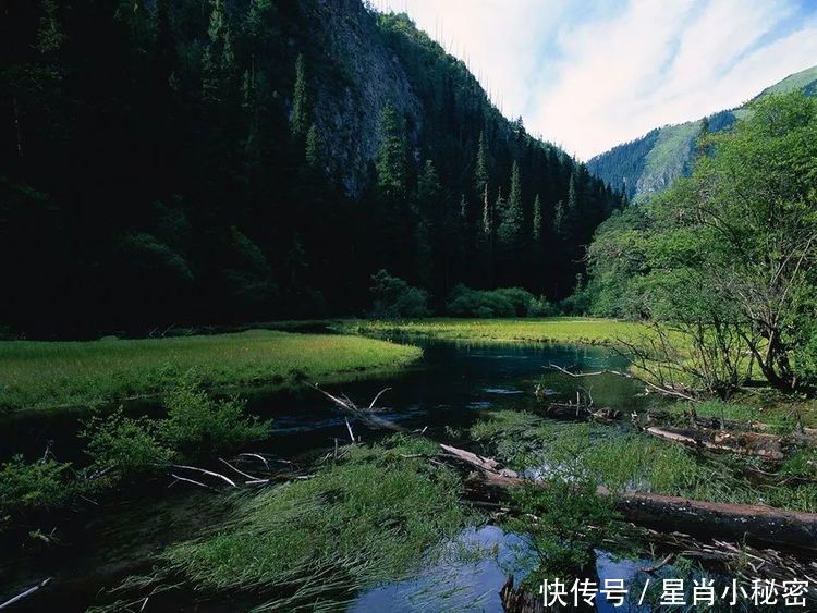 20号起,买彩票中大奖,11月机遇多多,横财滚滚数